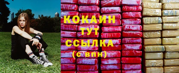 соль ск Алзамай