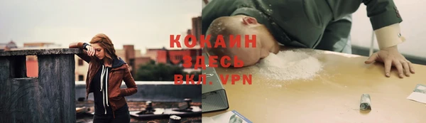 соль ск Алзамай