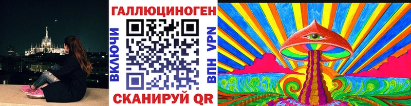 Псилоцибиновые грибы Psilocybine cubensis  Бабаево 