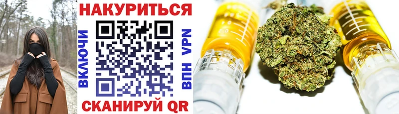 Шишки марихуана Amnesia  ссылка на мегу как войти  Бабаево 